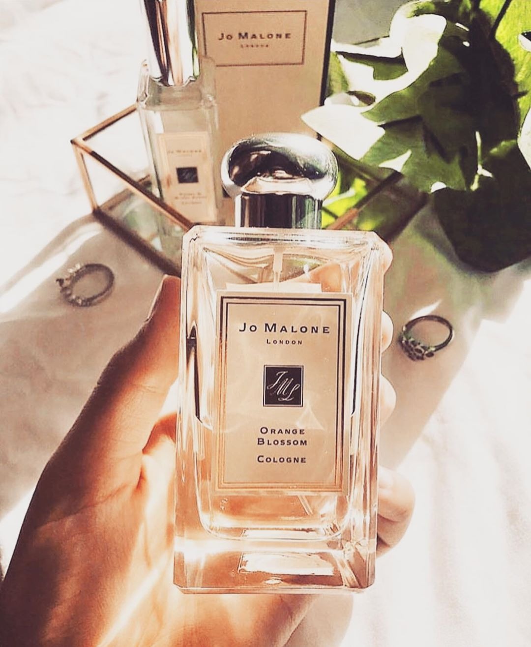 JO MALONE - ORANGE BLOSSOM