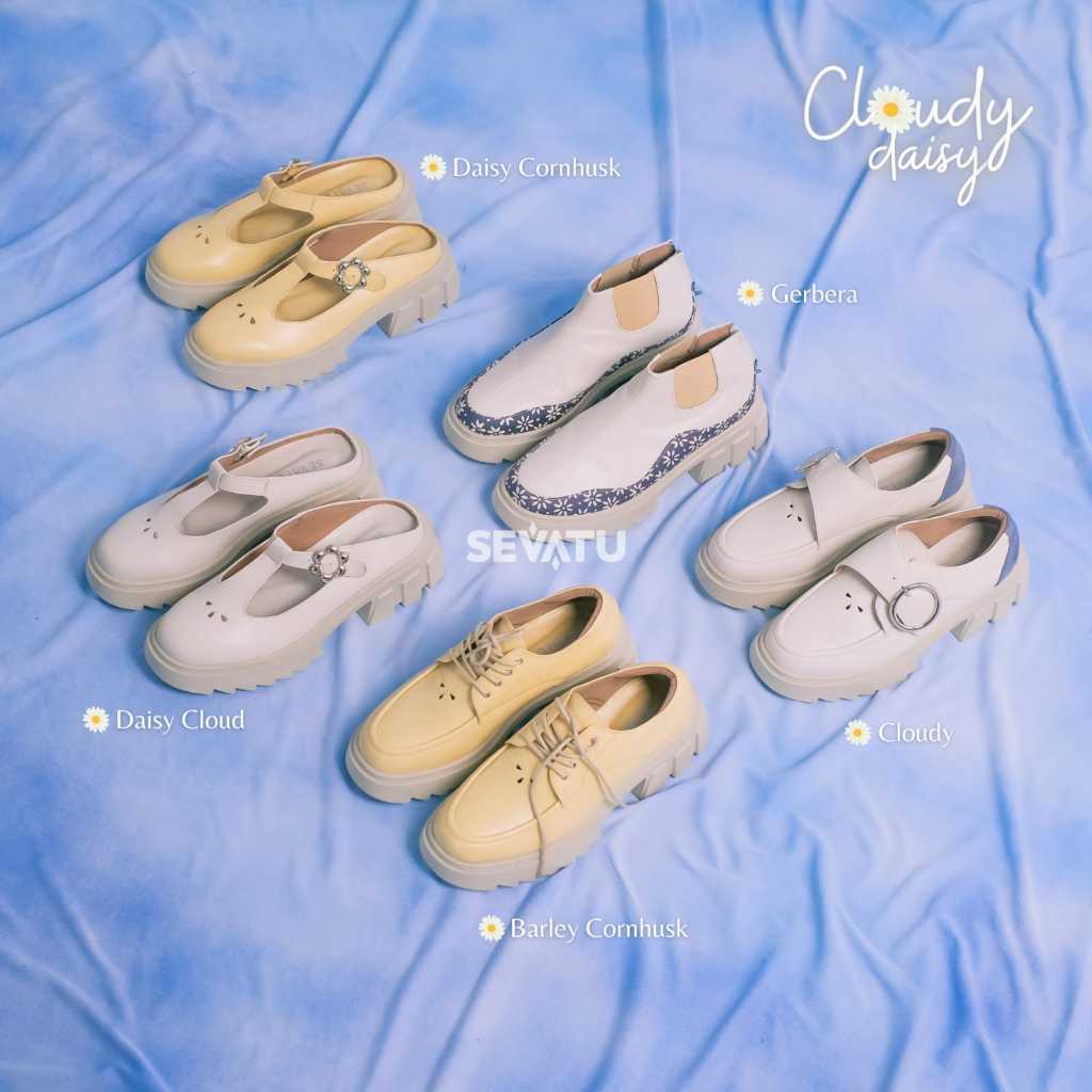 Cloudy Daisy Series (Special Series on IN2MF 2023)