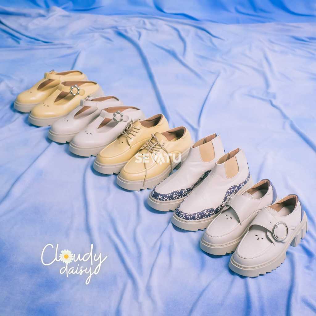 Cloudy Daisy Series (Special Series on IN2MF 2023)