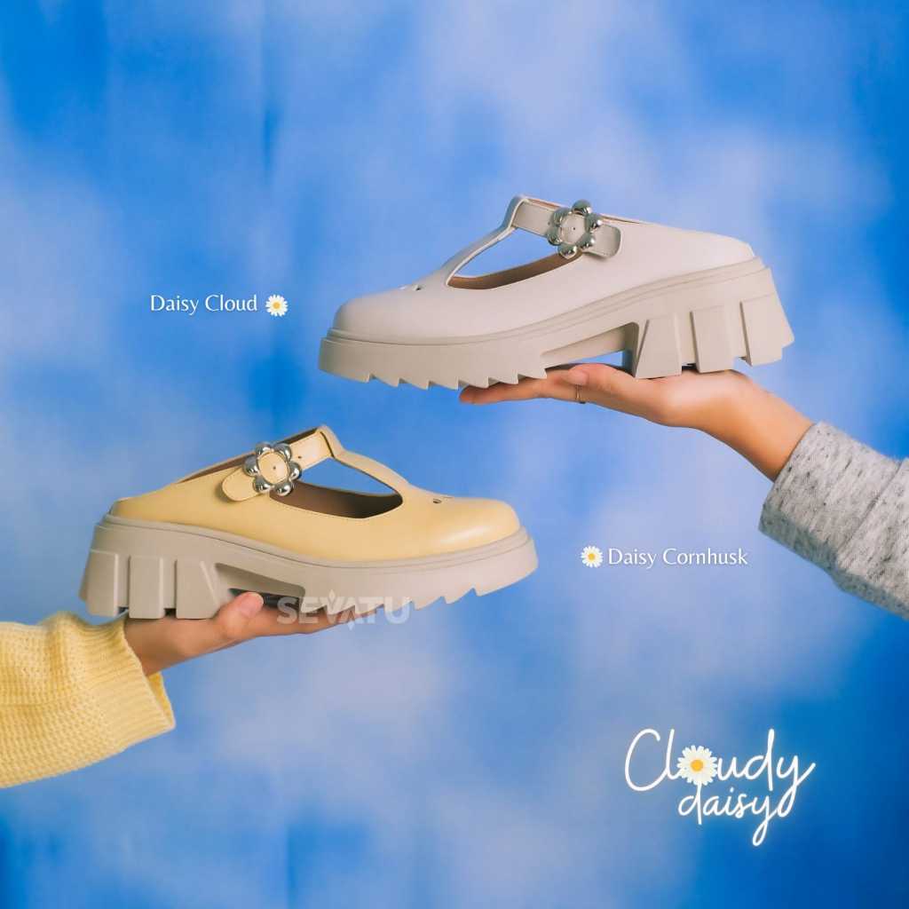Cloudy Daisy Series (Special Series on IN2MF 2023)