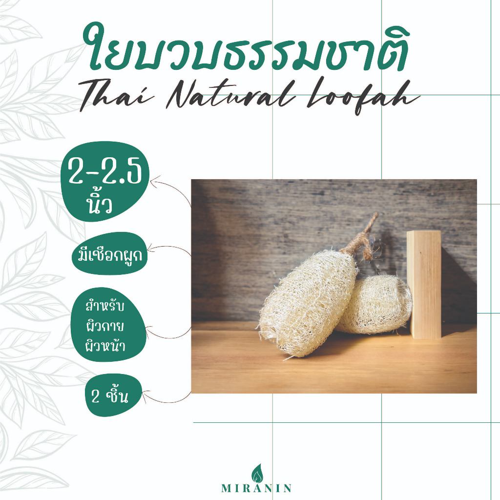 ใยบวบ 2 - 2.5 นิ้ว ใยบวบขัดผิวพร้อมเชือกผูก แพ็คคู่ Thai natural loofah