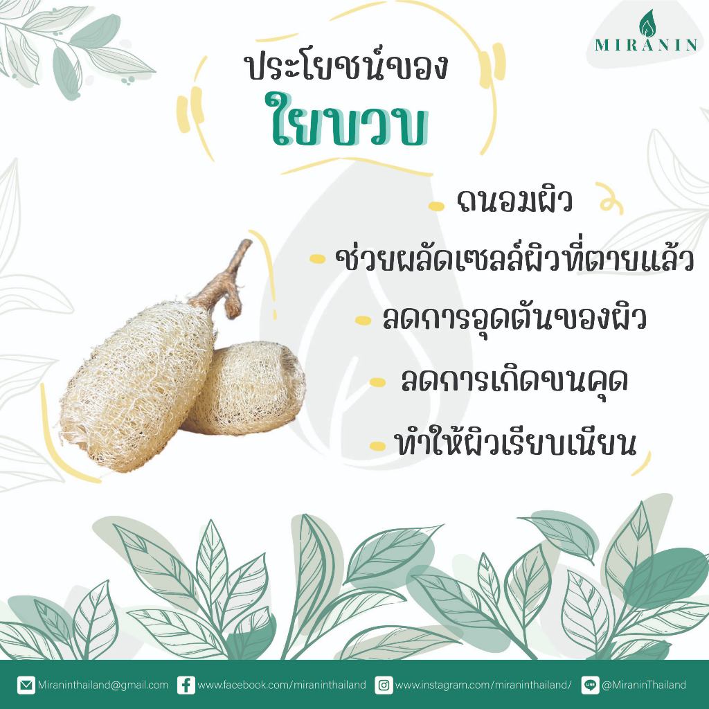 ใยบวบ 2 - 2.5 นิ้ว ใยบวบขัดผิวพร้อมเชือกผูก แพ็คคู่ Thai natural loofah