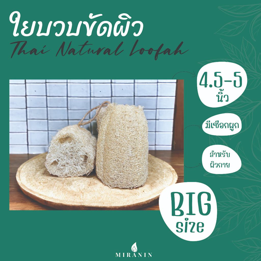 ใยบวบ 4.5 - 5 นิ้ว ใยบวบขัดผิวพร้อมเชือกผูก Thai natural loofah