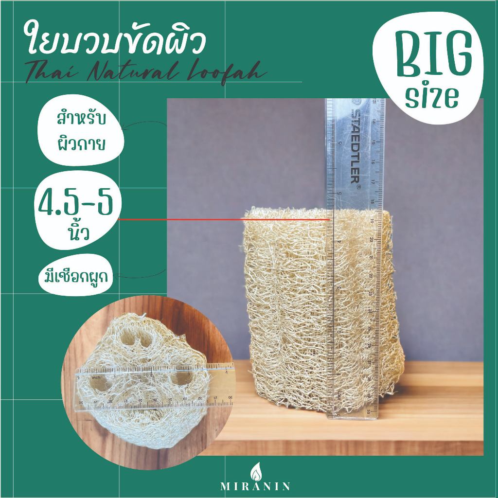 ใยบวบ 4.5 - 5 นิ้ว ใยบวบขัดผิวพร้อมเชือกผูก Thai natural loofah