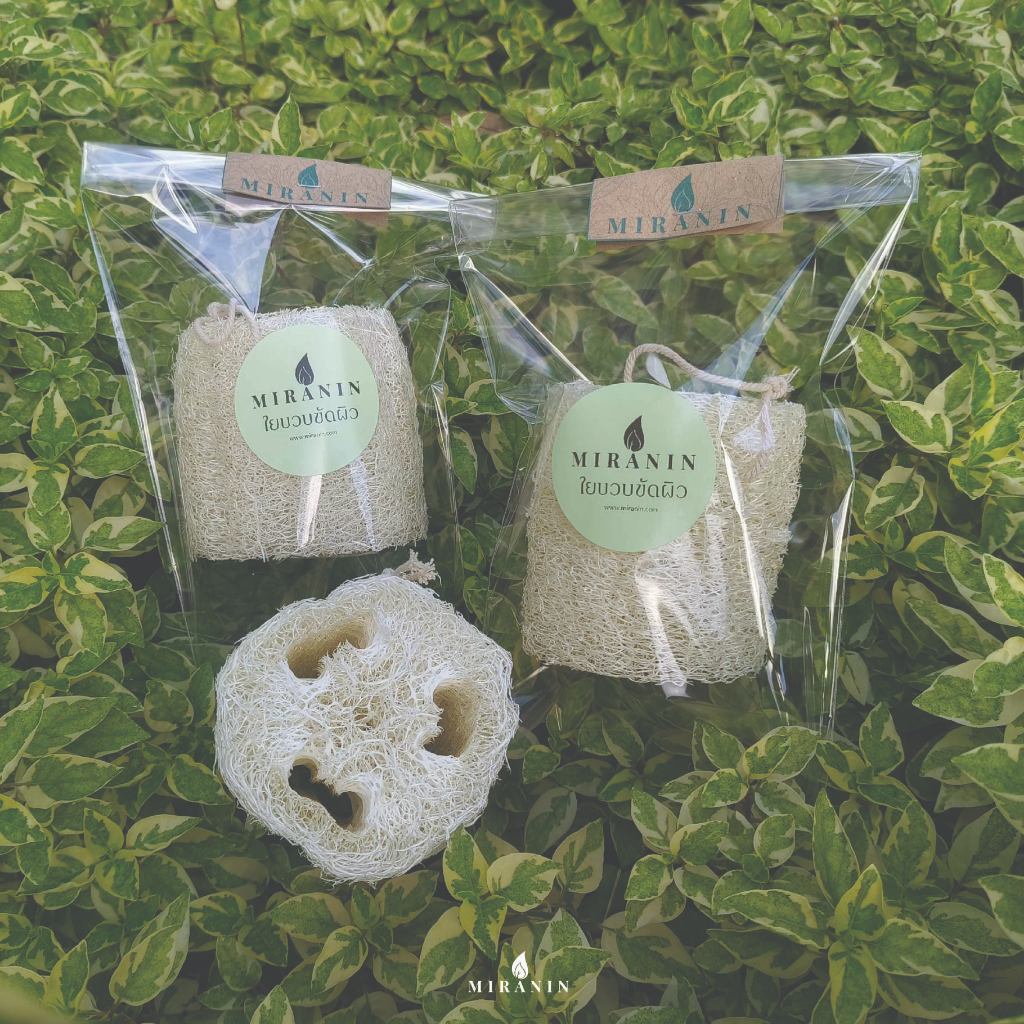 ใยบวบ 3 นิ้ว ใยบวบขัดผิว Thai natural loofah