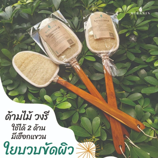 Image of ใยบวบขัดหลัง ไม้ขัดหลัง วงรี 2 ด้าน ด้ามไม้แข็งแรง