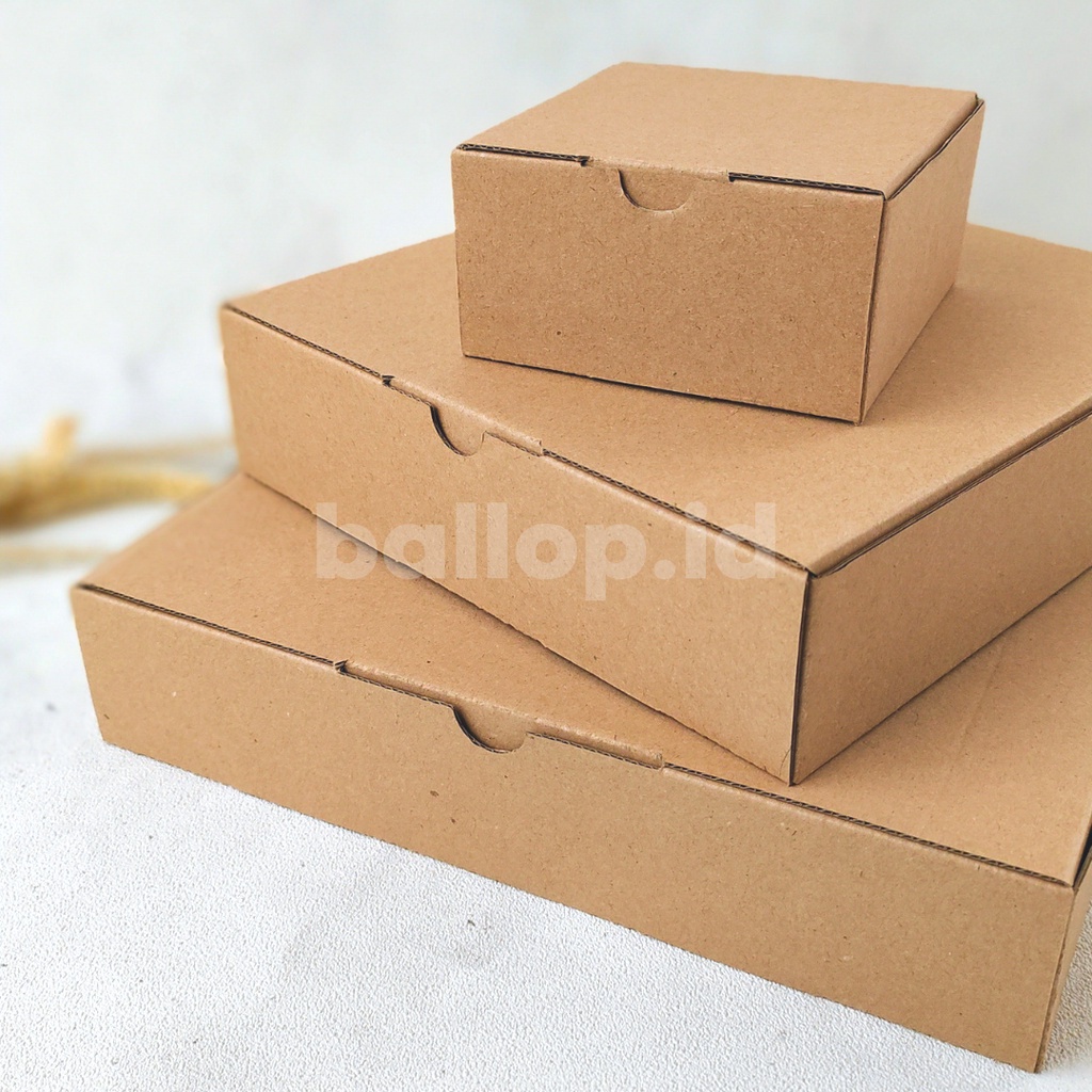 E-FLUTE 25 25 5 CM Box Kardus Pizza Dos Box Snack Roti Kue Cake Baju