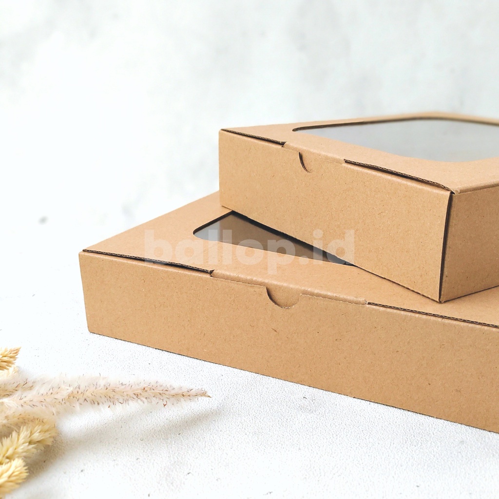 E-FLUTE 20 20 5 CM JENDELA Box Kardus Dos Kecil Snack Roti Kue Cake