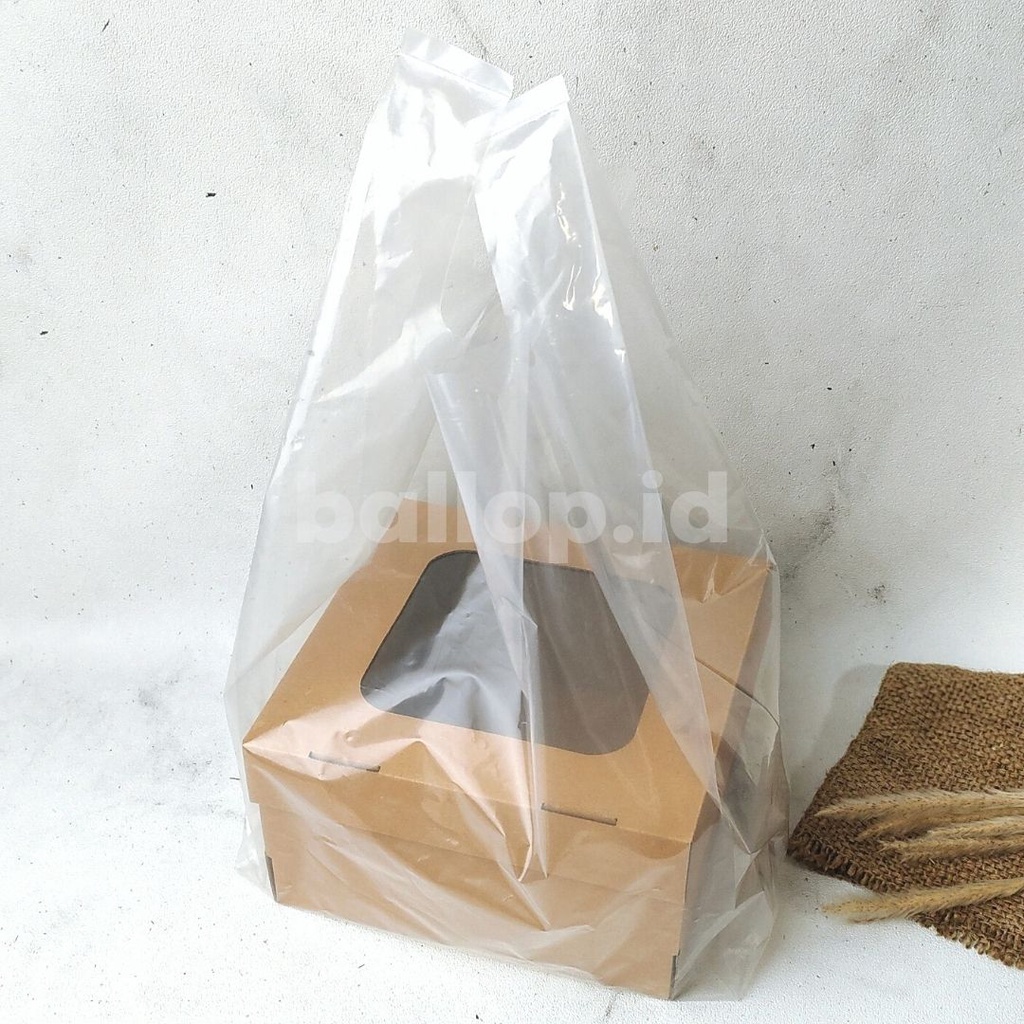 E-FLUTE 21 21 12 CM JENDELA Dus Dos Box Roti Snack Gift Hampers Bingkisan Kue Tart Cake Polos Corrugated