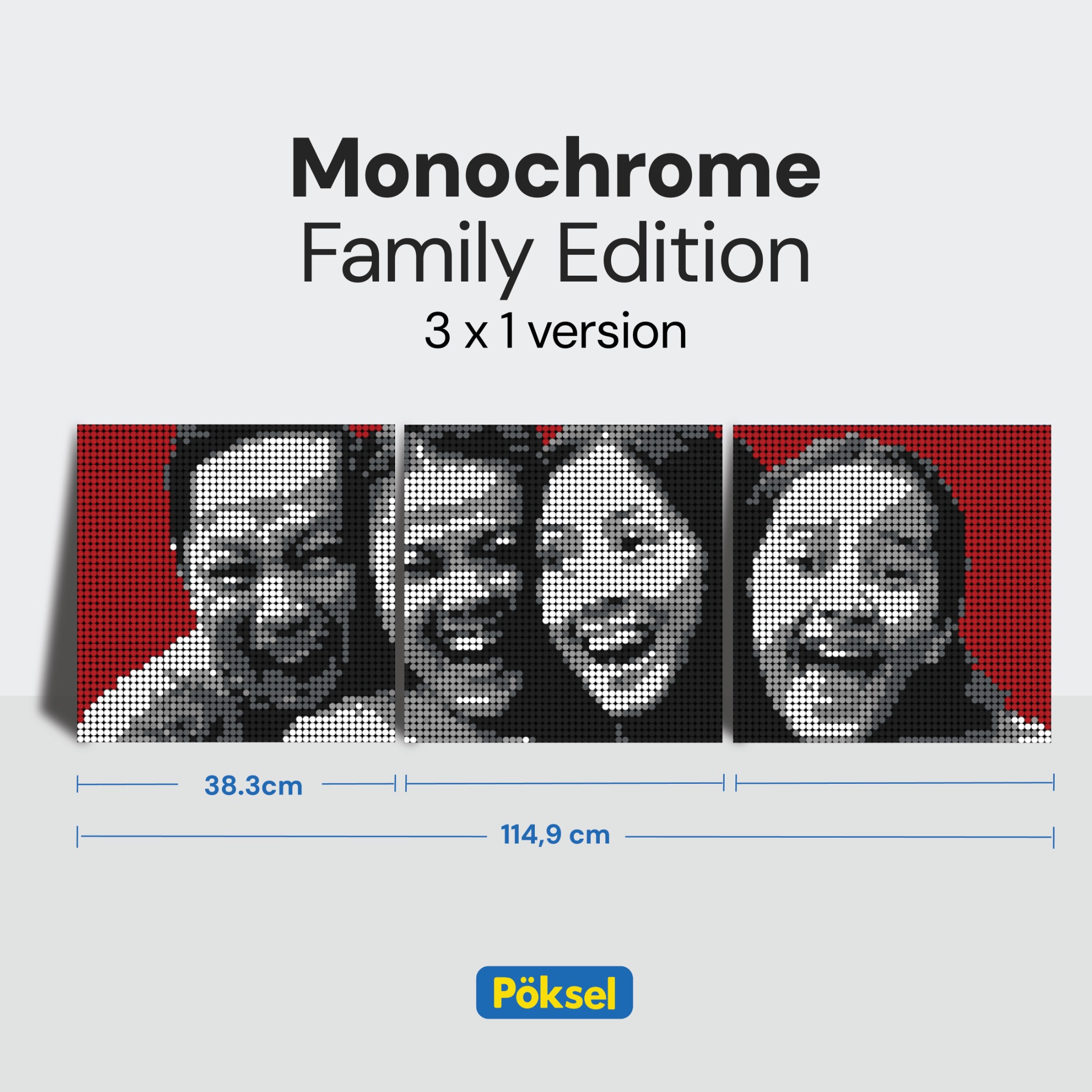 Poksel - Custom FAMILY 3x1 - Monochrome Pixel Art / Mosaic