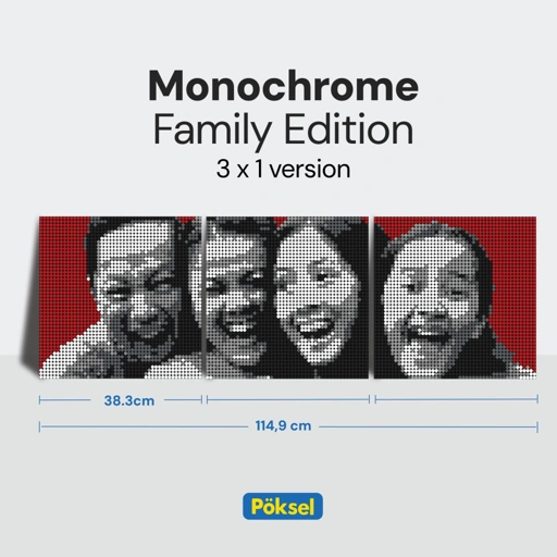 Image of Poksel - Custom FAMILY 3x1 - Monochrome Pixel Art / Mosaic