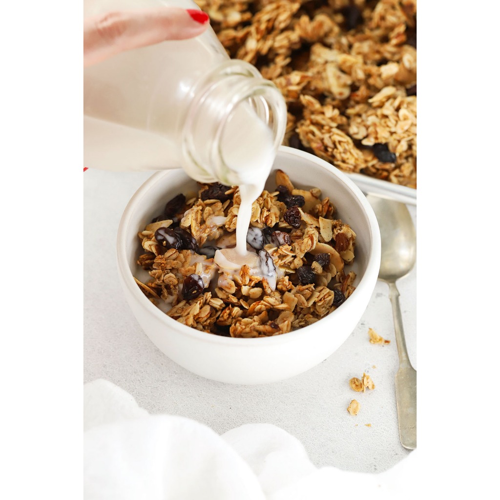 Gainola Premium Organic Roasted Granola Pure Healthy Alami Panggang Organik Tanpa Pengawet