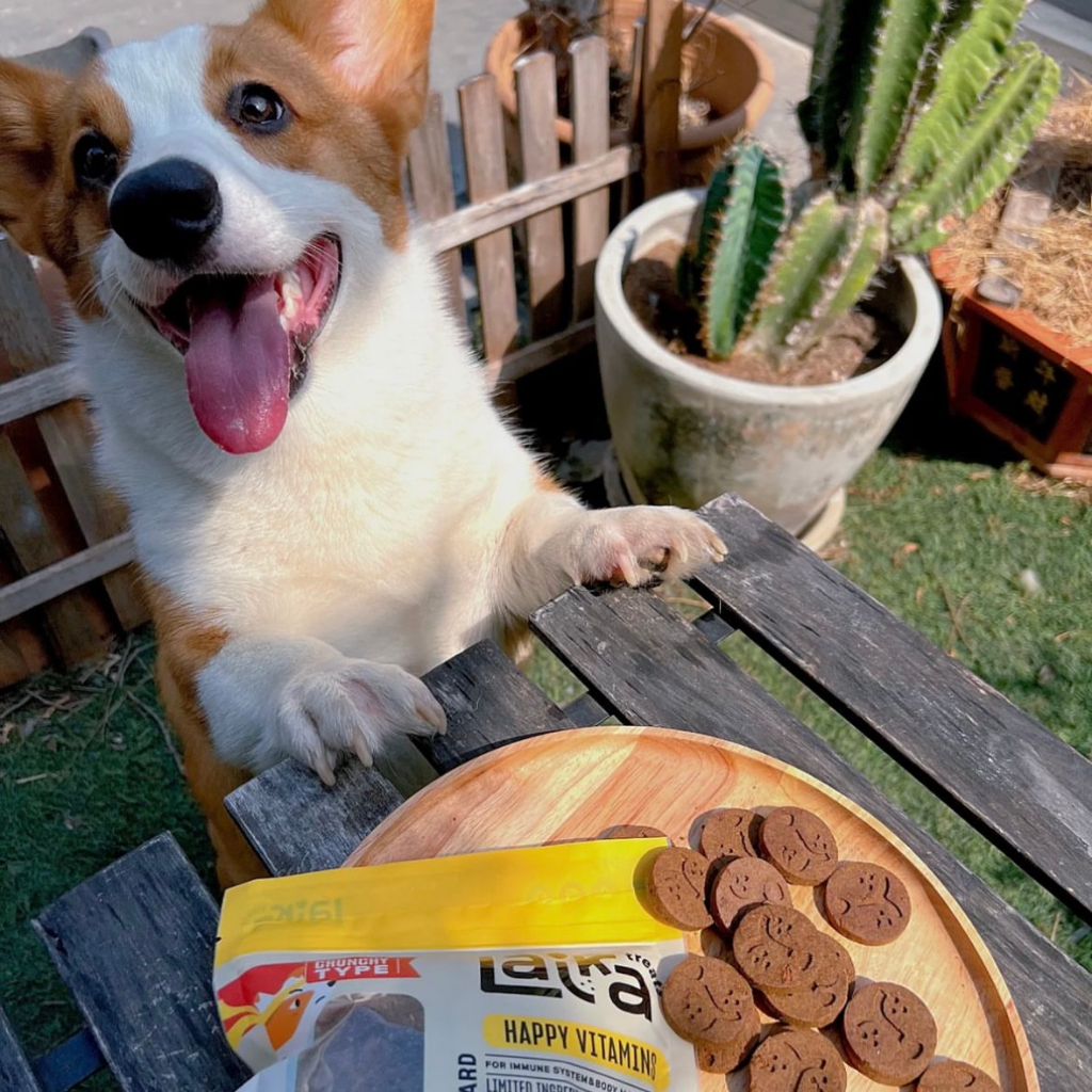 JAIKLA Treats WELCOME PACK ขนมสุนัขเพื่อสุขภาพจากโปรตีนแมลง