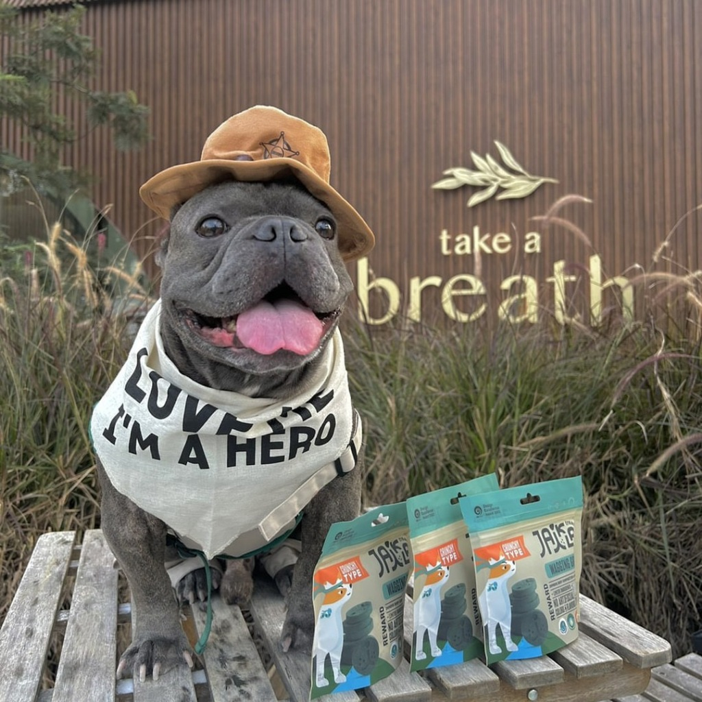 [6 Packs] JAIKLA ขนมสุนัขเพื่อสุขภาพ สูตร WAGGING GREEN ควบคุมน้ำหนัก ช่วยเผาผลาญไขมันส่วนเกิน