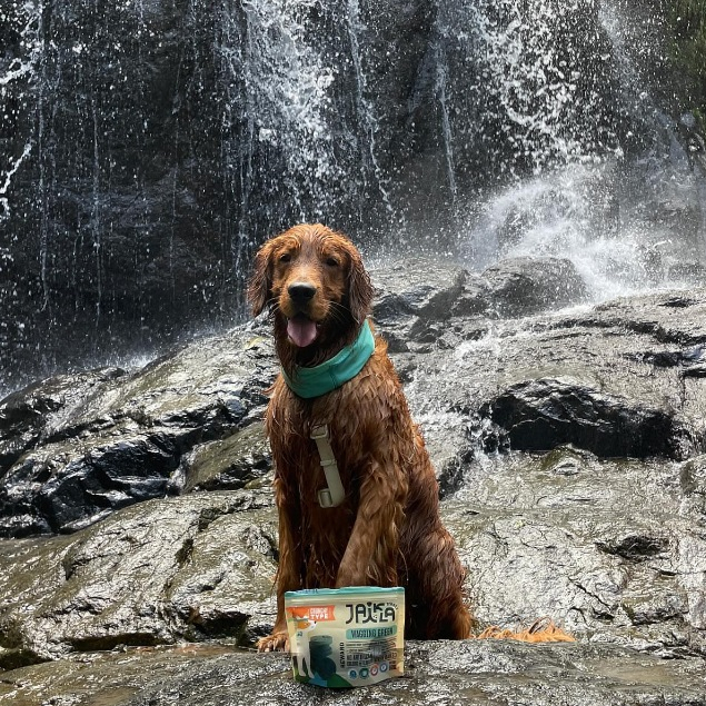 [6 Packs] JAIKLA ขนมสุนัขเพื่อสุขภาพ สูตร WAGGING GREEN ควบคุมน้ำหนัก ช่วยเผาผลาญไขมันส่วนเกิน
