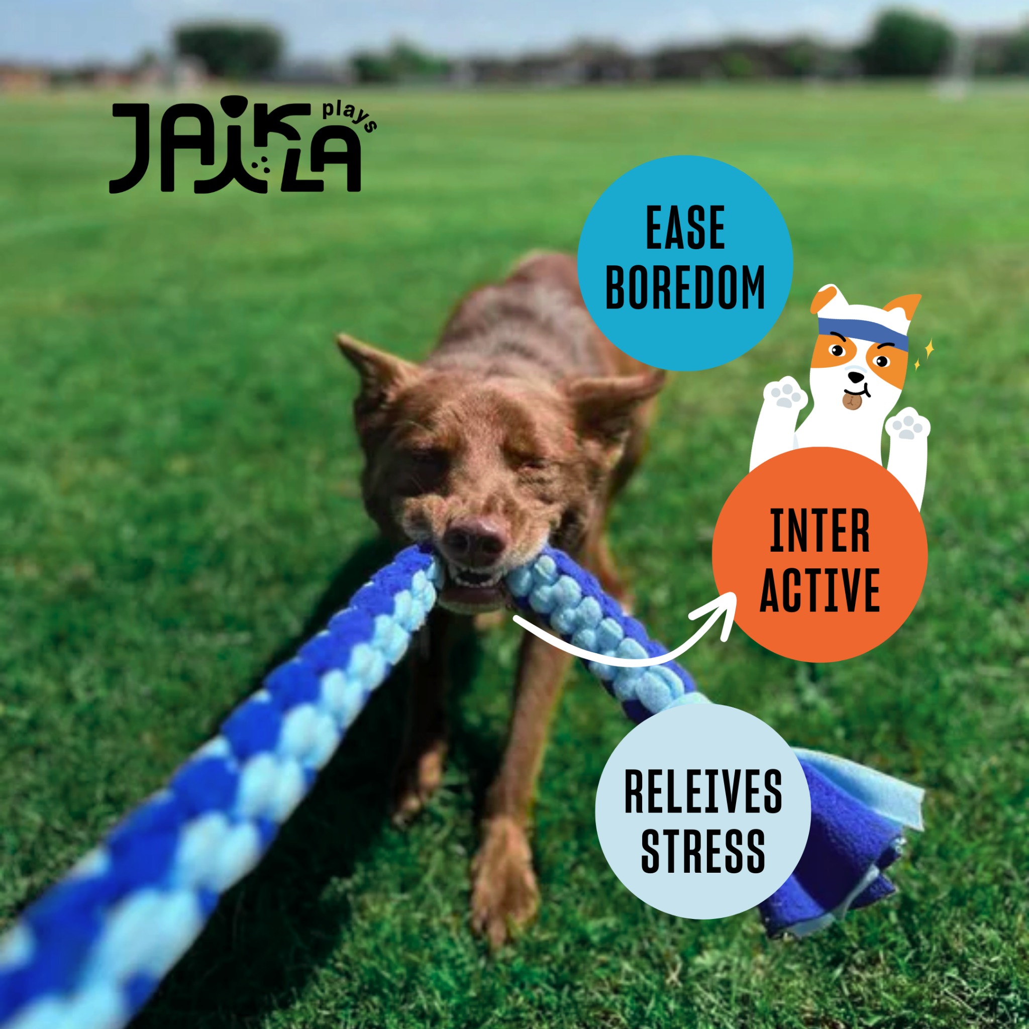 JAIKLA Rope Dog Toy  เชือกถักของเล่นสุนัข แข็งแรง กัดมัน สนุกเพลิน