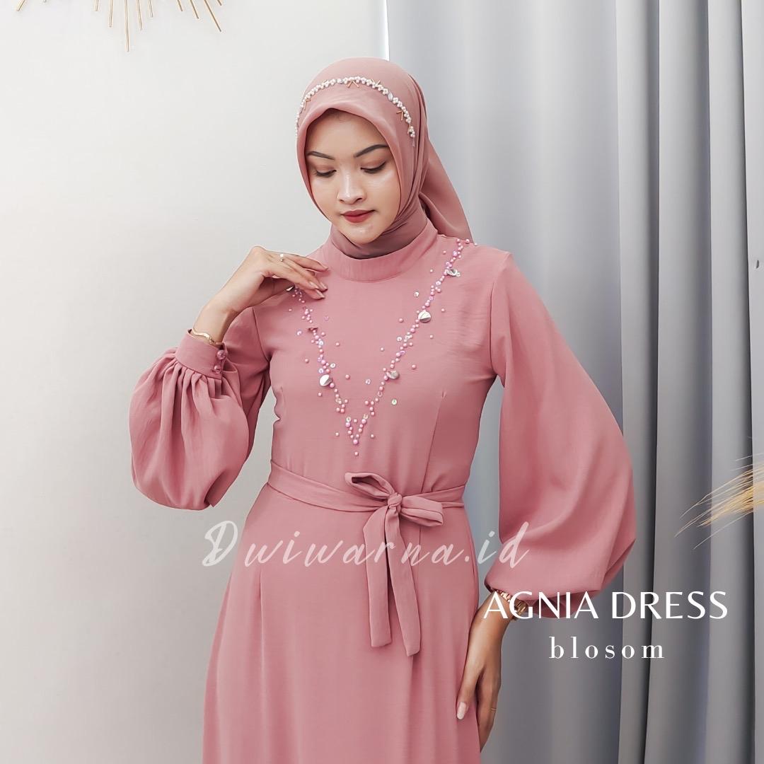 Agnia Dress By Dwiwarna.id
