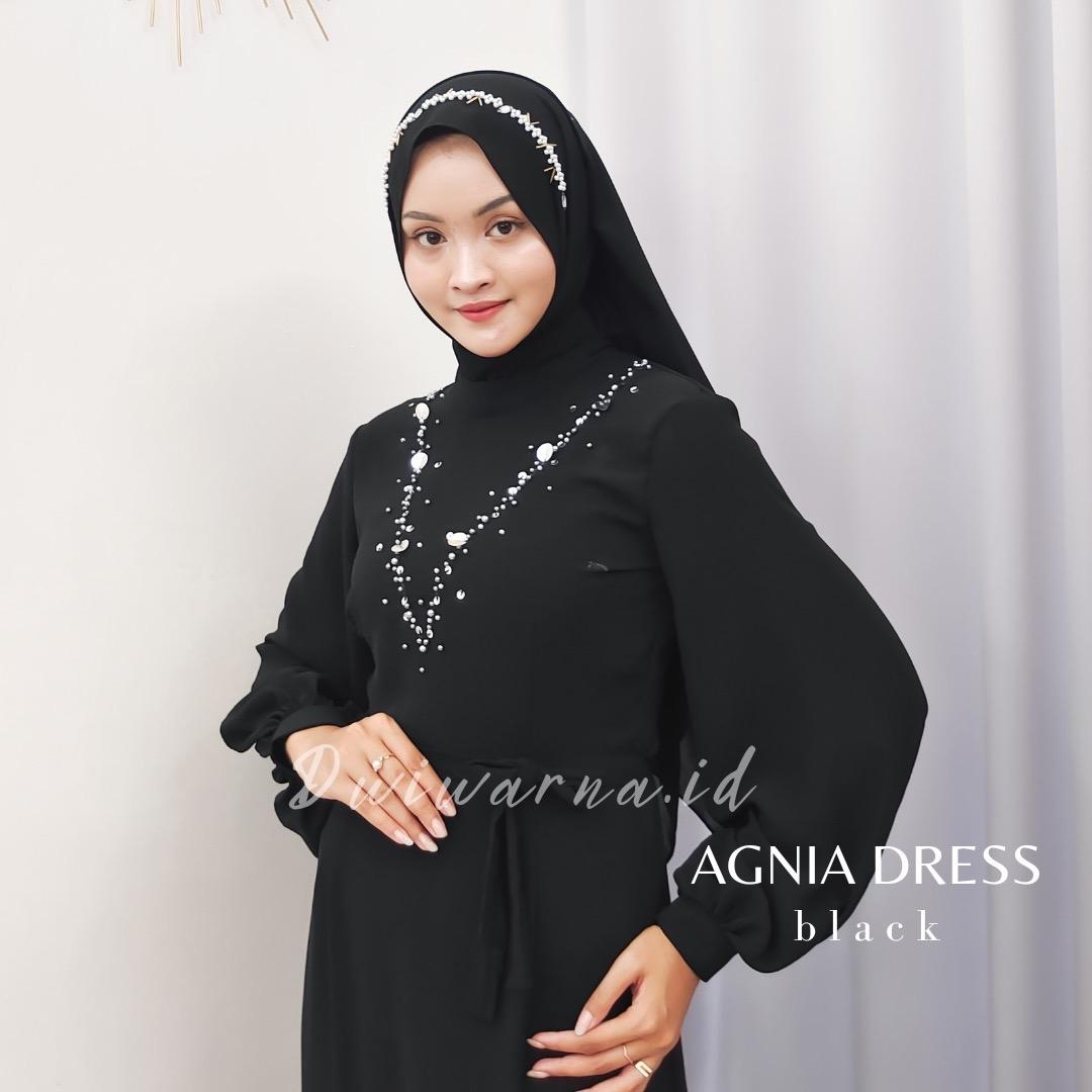 Agnia Dress By Dwiwarna.id