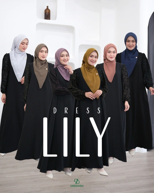 Image of LILY DRESS