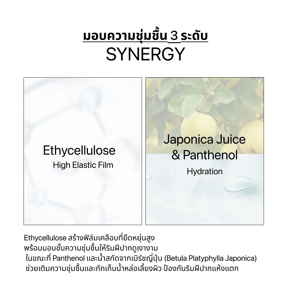 ENTROPY Charm Tint Glossy Gel ลิปทินท์เนื้อโกลว์เจล ฉ่ำวาวใส บำรุงริมฝีปาก 10 เฉดสี