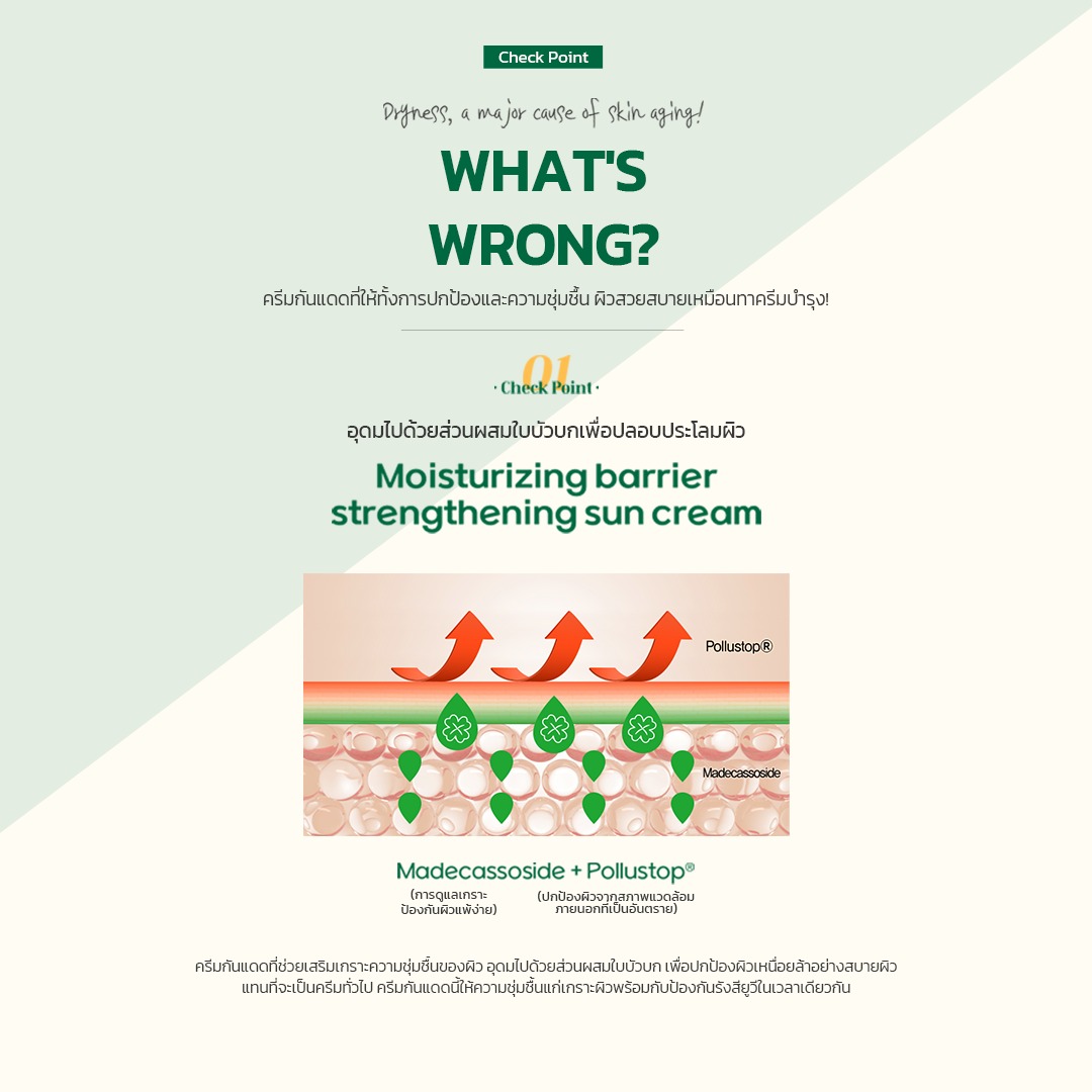 FRUDIA Cicaderm Sun Cream SPF50+ PA++++ กันแดดใบบัวบก ปลอบประโลมผิว