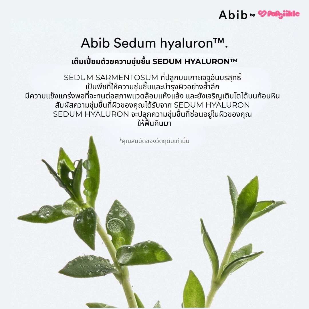 ABIB Sedum Hyaluron Pad Hydrating Touch แพดบำรุงผิว ไฮยาลูรอน ผิวแห้ง สกินแคร์เกาหลี