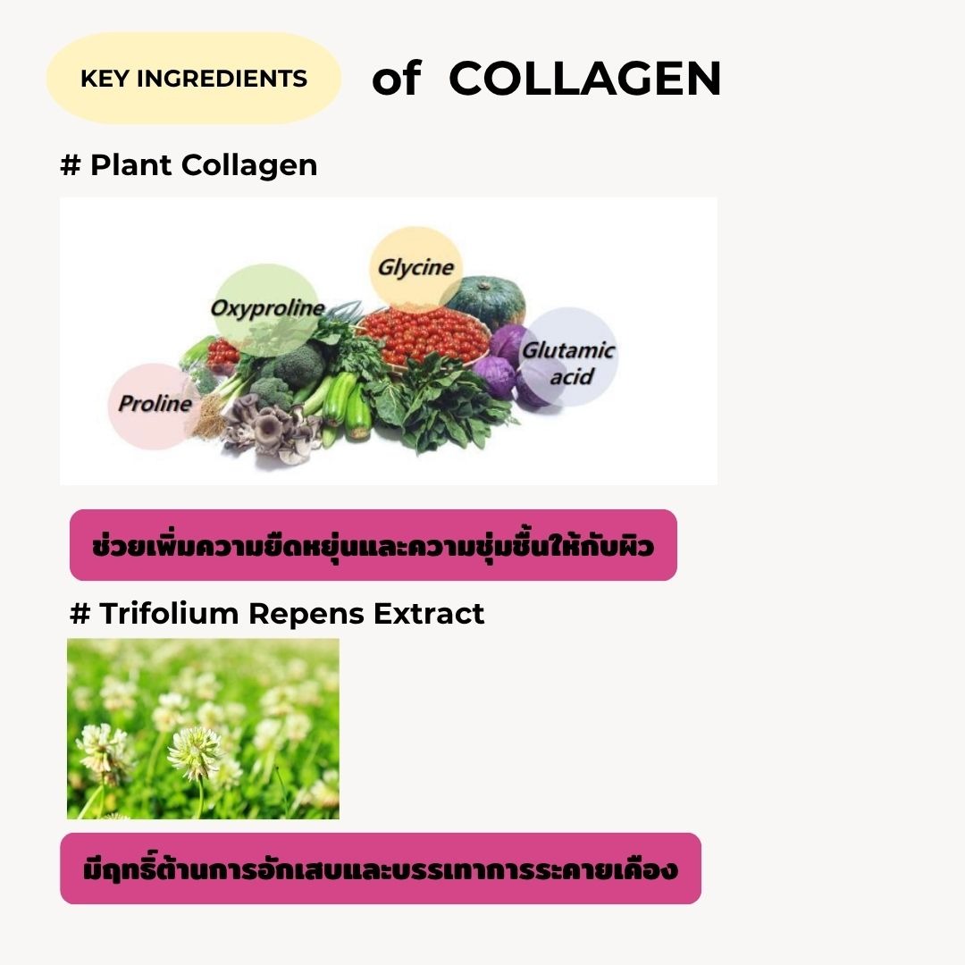 KOCOSTAR Vegan Sheet Mask หน้ากากผ้าวีแกน เซรั่มเข้มข้น 25ml 4สูตร Vitamin Hyaluronic Collagen Tea Tree