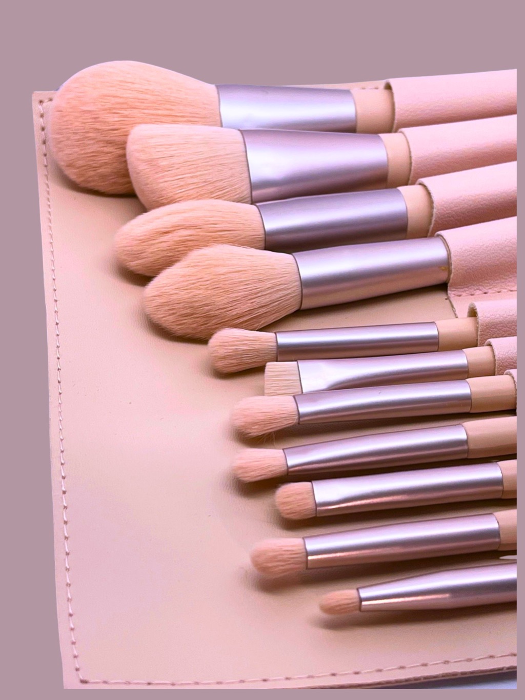 Ballerina 11 brush set