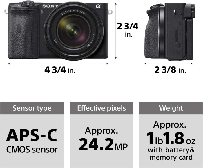Sony A6600 Mirrorless Camera 4K APS-C Body Only - Resmi