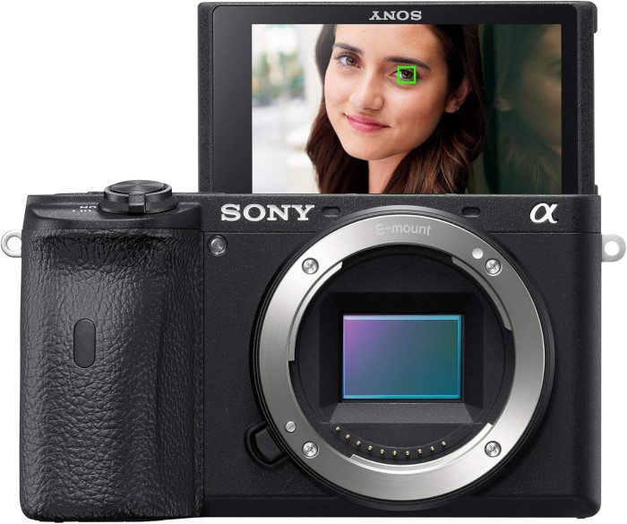 Sony A6600 Mirrorless Camera 4K APS-C Body Only - Resmi